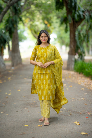 MARIGOLD RAIN | MATERNITY KURTI SET