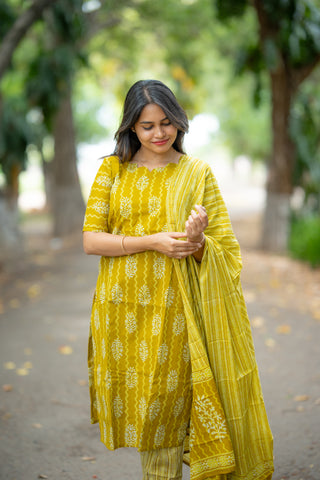 MARIGOLD RAIN | MATERNITY KURTI SET