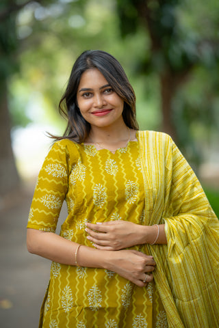 MARIGOLD RAIN | MATERNITY KURTI SET