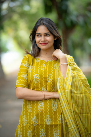 MARIGOLD RAIN | MATERNITY KURTI SET