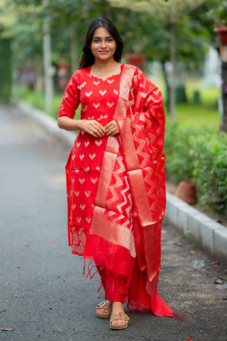 RUBY VERVE | MATERNITY KURTI SET