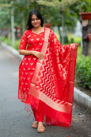 RUBY VERVE | MATERNITY KURTI SET