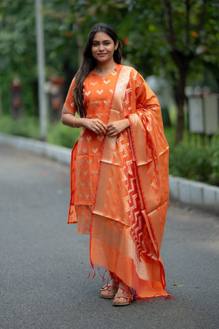 SUNLIT VERVE | MATERNITY KURTI SET