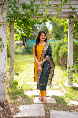 HALDI REGALIA | MATERNITY KURTI SET