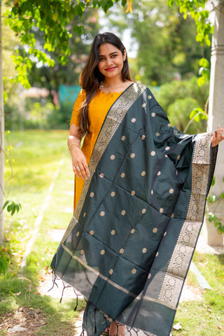 HALDI REGALIA | MATERNITY KURTI SET