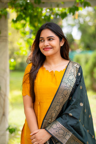 HALDI REGALIA | MATERNITY KURTI SET