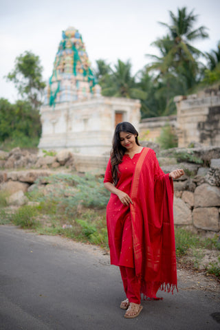 KAMINI | MATERNITY KURTI SET