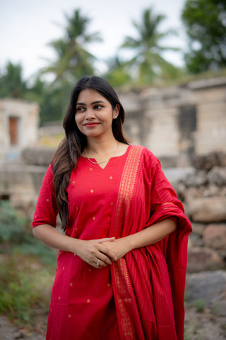 KAMINI | MATERNITY KURTI SET