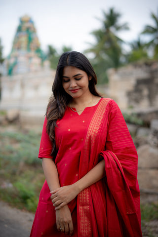 KAMINI | MATERNITY KURTI SET