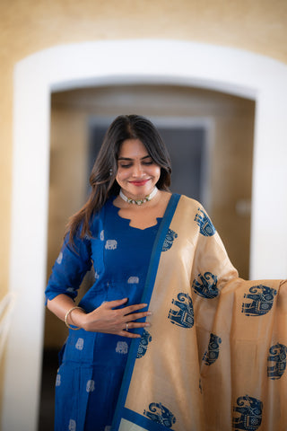 KAYAL VIZHI | MATERNITY KURTI SET