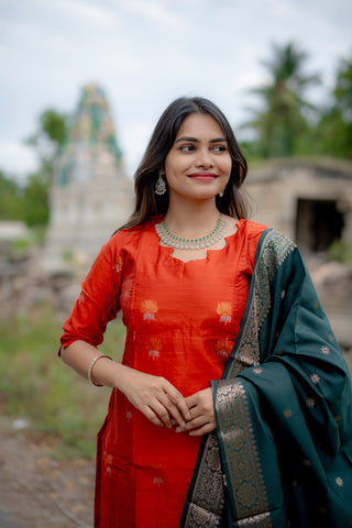 THENMOZHI | MATERNITY KURTI SET